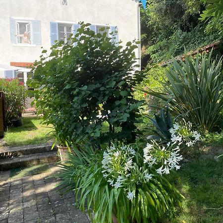Les Agapanthes Bed & Breakfast Vaux-en-Beaujolais Dış mekan fotoğraf