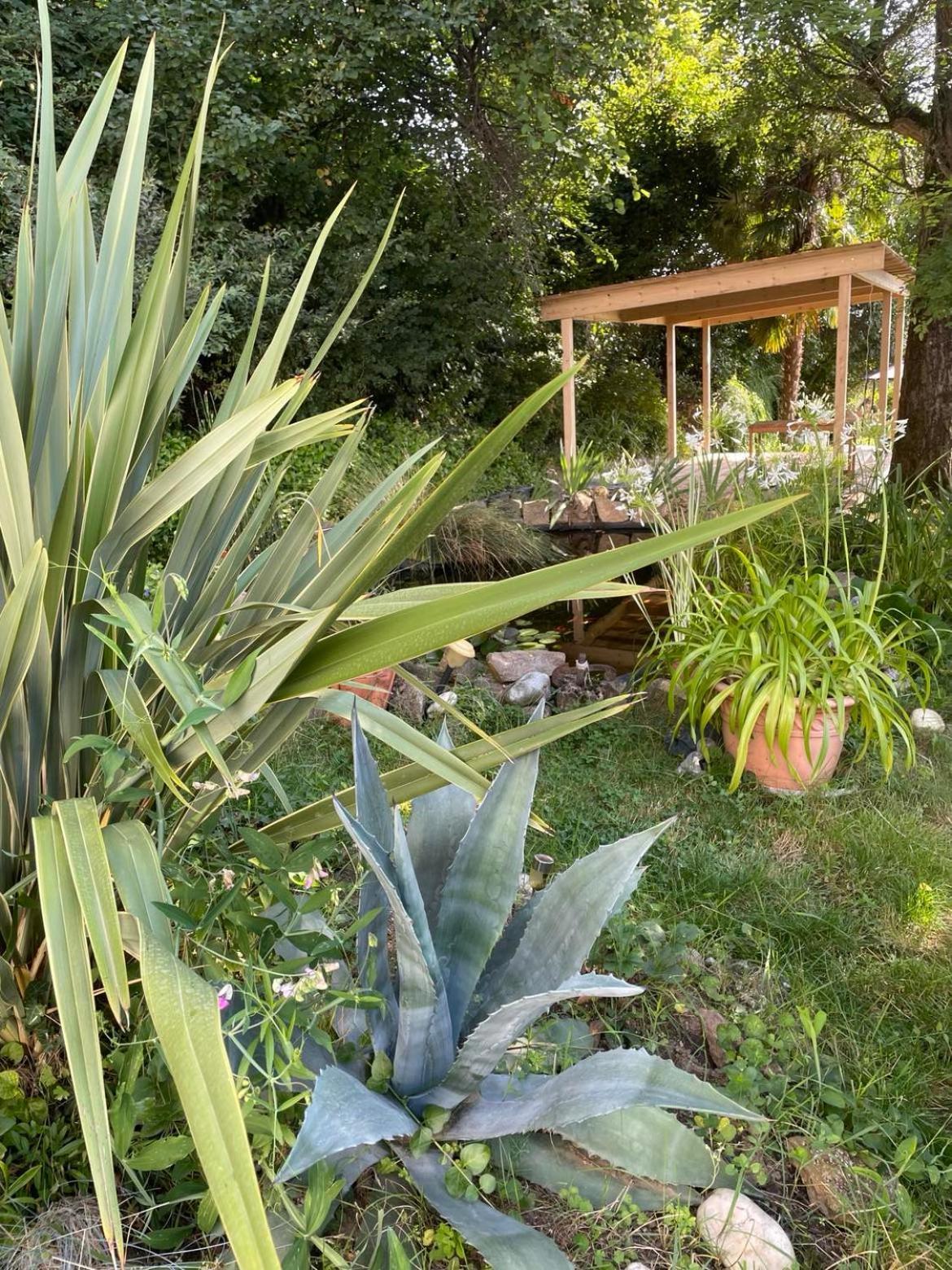 Les Agapanthes Bed & Breakfast Vaux-en-Beaujolais Dış mekan fotoğraf