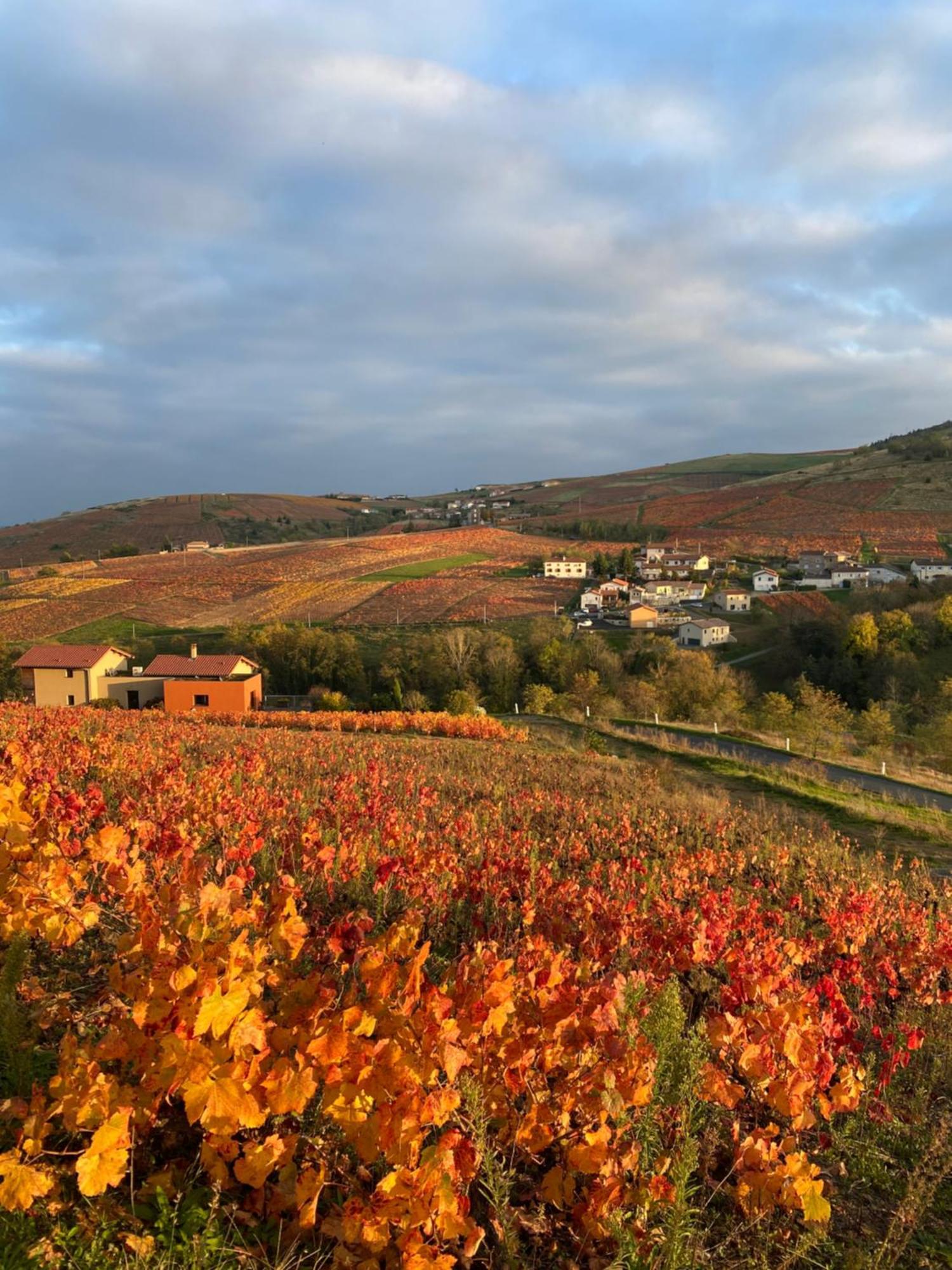 Les Agapanthes Bed & Breakfast Vaux-en-Beaujolais Dış mekan fotoğraf